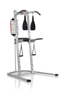 Bowflex-BodyTower-0