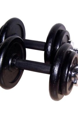 Lion-Roar-Fitness-Adjustable-Cast-Iron-40-lbs-Dumbbells-1-Pairs-of-40-lbs-Total-Weight40-lbs-Perfect-for-Home-Gym-Exercise-1-on-market-Building-Up-Your-Muscle-0