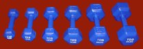 PVC-Coated-Hex-Dumbell-15lb-0