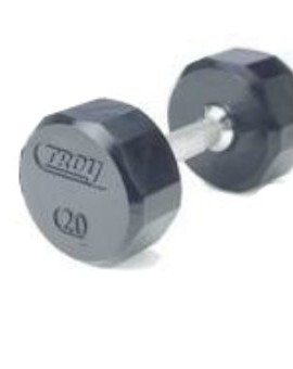 Troy-20lb-12-Sided-Rubber-Encased-Dumbbell-0