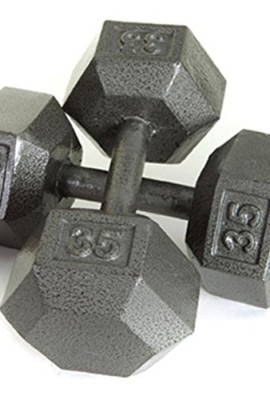 USA-Sports-by-Troy-Barbell-80-lb-Cast-Iron-Dumbbell-Single-0