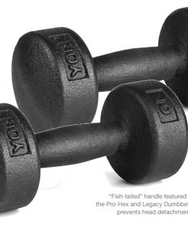 York-Barbell-10-lb-Legacy-Solid-Professional-Round-Dumbbells-0