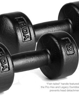 York-Barbell-12-lb-Legacy-Solid-Professional-Round-Dumbbells-0