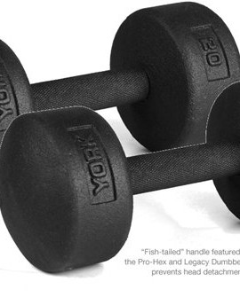 York-Barbell-20-lb-Legacy-Solid-Professional-Round-Dumbbells-0