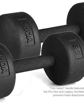 York-Barbell-25-lb-Legacy-Solid-Professional-Round-Dumbbells-0