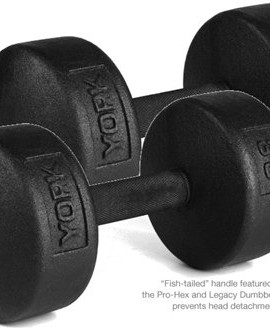 York-Barbell-30-lb-Legacy-Solid-Professional-Round-Dumbbells-0
