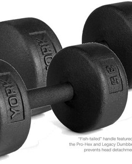 York-Barbell-35-lb-Legacy-Solid-Professional-Round-Dumbbells-0