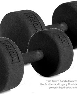 York-Barbell-40-lb-Legacy-Solid-Professional-Round-Dumbbells-0
