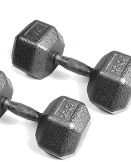 York-Barbell-55-lb-Ergo-Handled-Pro-Hex-Dumbbells-0