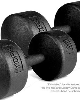 York-Barbell-55-lb-Legacy-Solid-Professional-Round-Dumbbells-0
