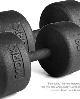 York-Barbell-80-lb-Legacy-Solid-Professional-Round-Dumbbells-0