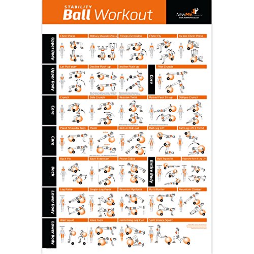 Free Work Out Plans On A Exercise Ball 53