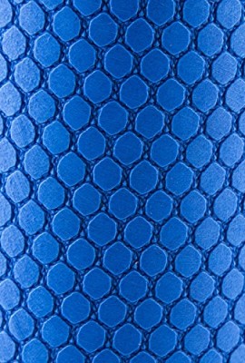 Fit-Spirit-High-Density-Soft-Textured-Fitness-Foam-Rollers-Set-of-2-0-1