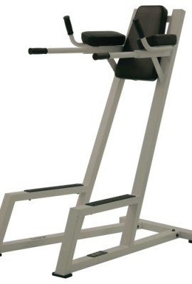 York-Barbell-Vertical-Knee-Raise-with-Dip-Station-Silver-0
