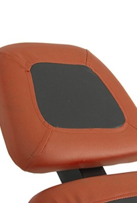 ALPINE-Pro-Deluxe-Inversion-Table-Exercise-Back-Reflexology-Foldable-Orange-0-3