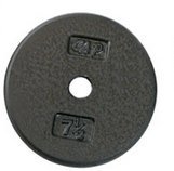 Apollo-Athletics-KB-36-Gray-1-in-Regular-75-lbs-Plate-0