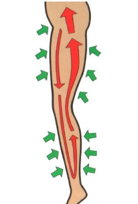 Beautyko-Leg-O-Sage-Plus-Massager-0-3