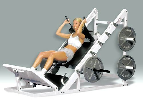 Husky Hip and Leg Sled Lower Body Gym Training Equipment Direct