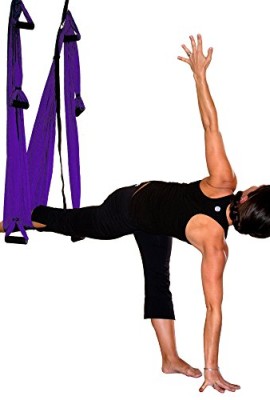 Inversion-Sling-Original-Gravotonics-Yoga-Swing-Purple-0-2