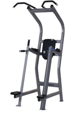 Nautilus-Chin-Dip-Leg-Raise-Machine-0