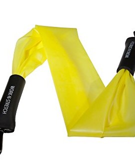 Work-N-Stretch-Products-Resistance-Band-Level-1-with-Exercise-Chart-and-Resistance-Band-Carrying-Case-0